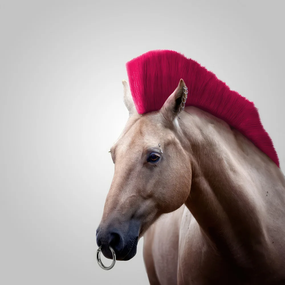 Pozdniakov, Artem: Cavallo selvaggio