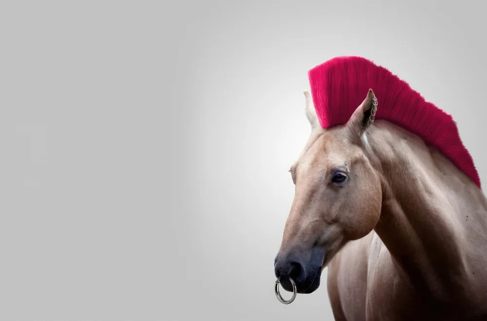 Pozdniakov, Artem: Cavallo selvaggio