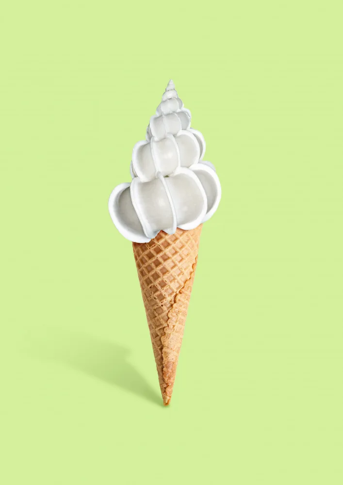 Pozdniakov, Artem: Crema di conchiglie