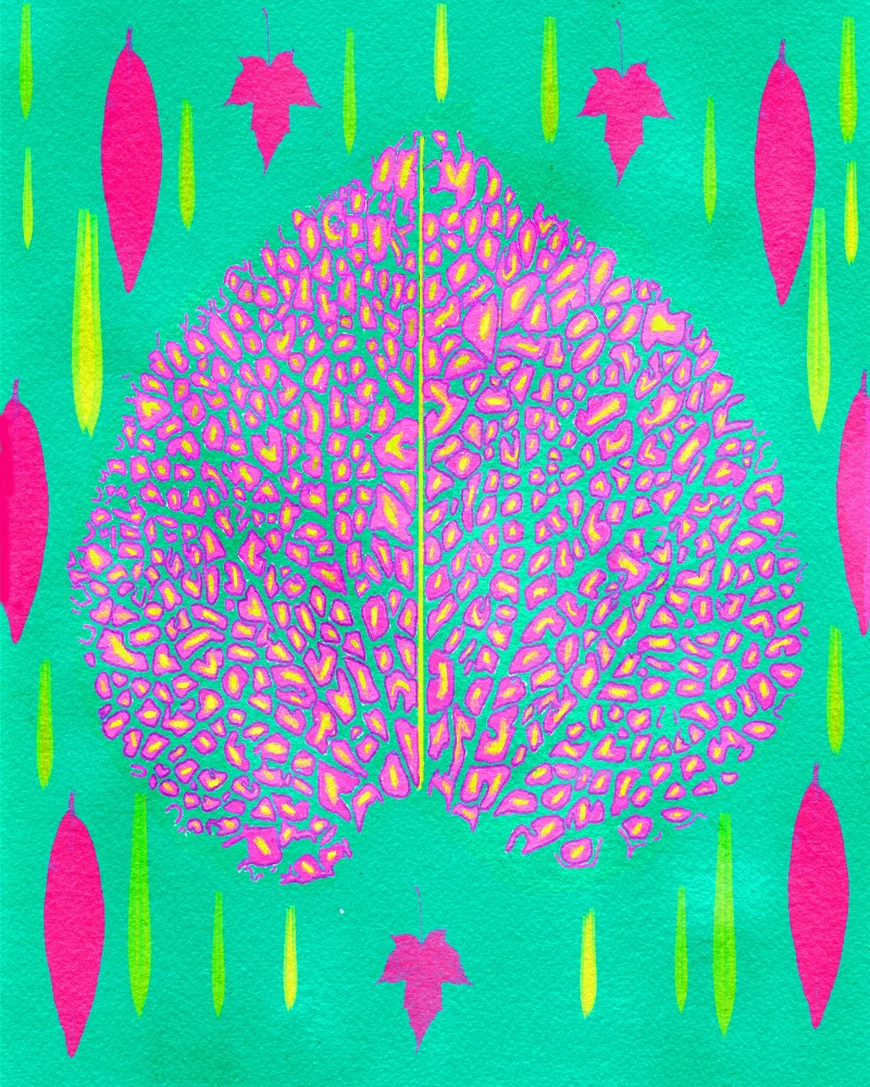 nicolo, giovanna: Leaves In Pink.png