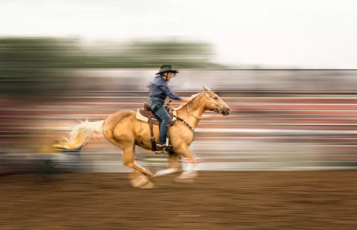 Fu, Molly: Speed up