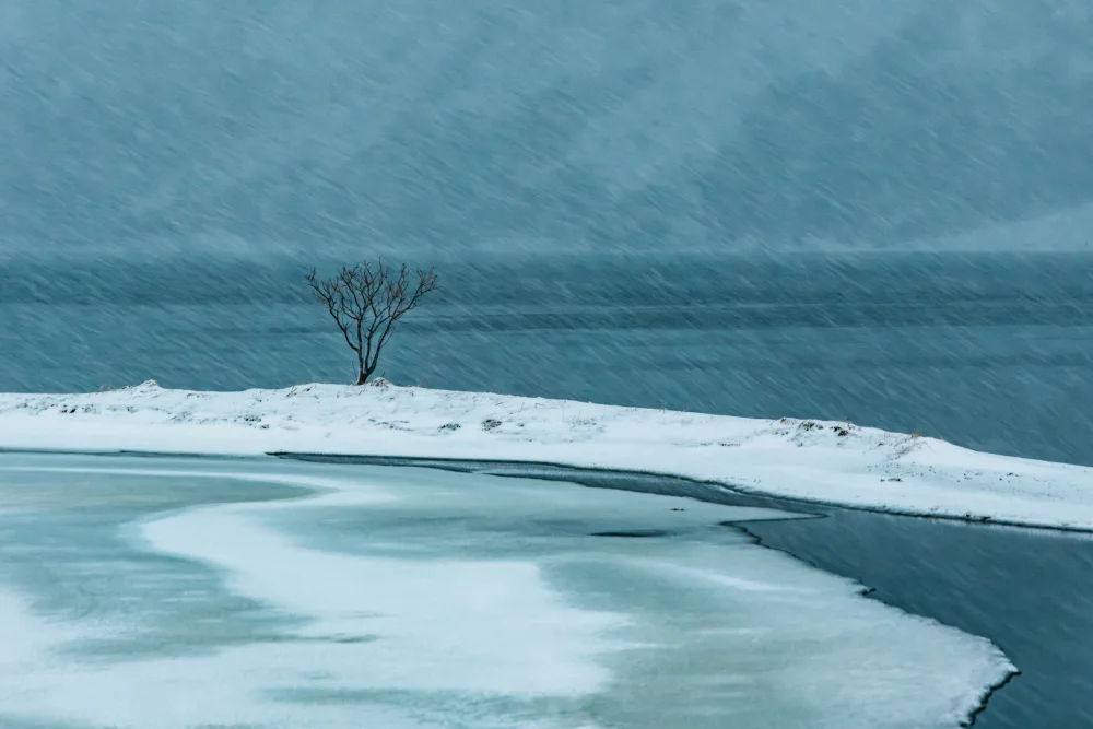 Popan, Adrian: Arctic Simphony