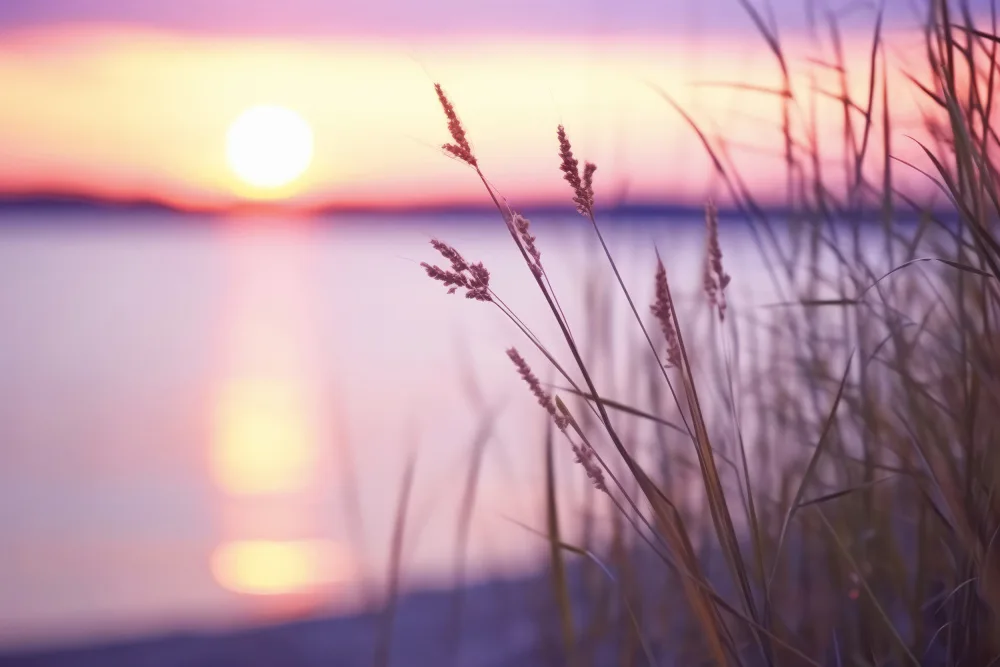 Treechild: Purple Sunset