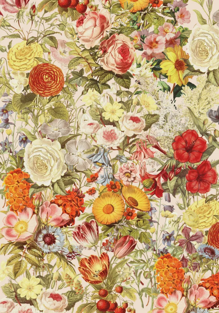 Studio, Floral Frida: Botany