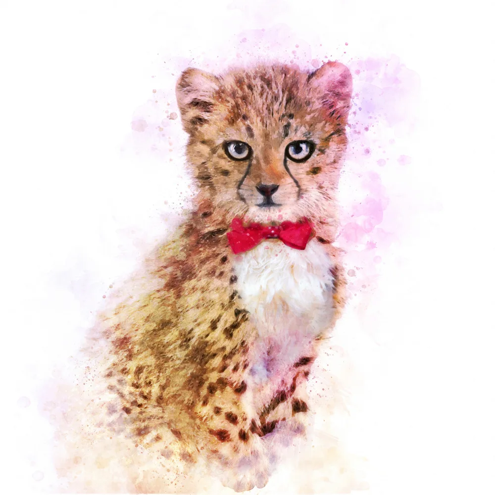 Tunaboylu, Emel: Aquarelle de bébé guépard