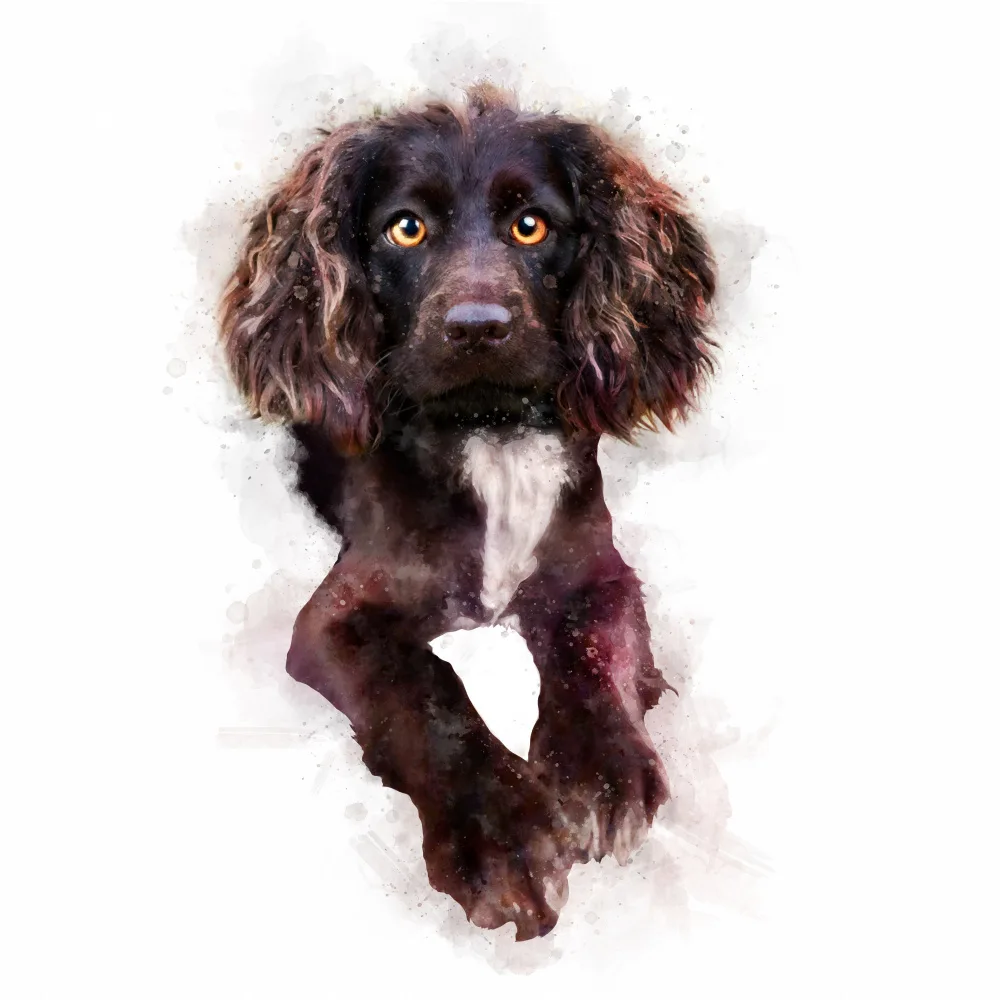 Tunaboylu, Emel: Baby Puppy