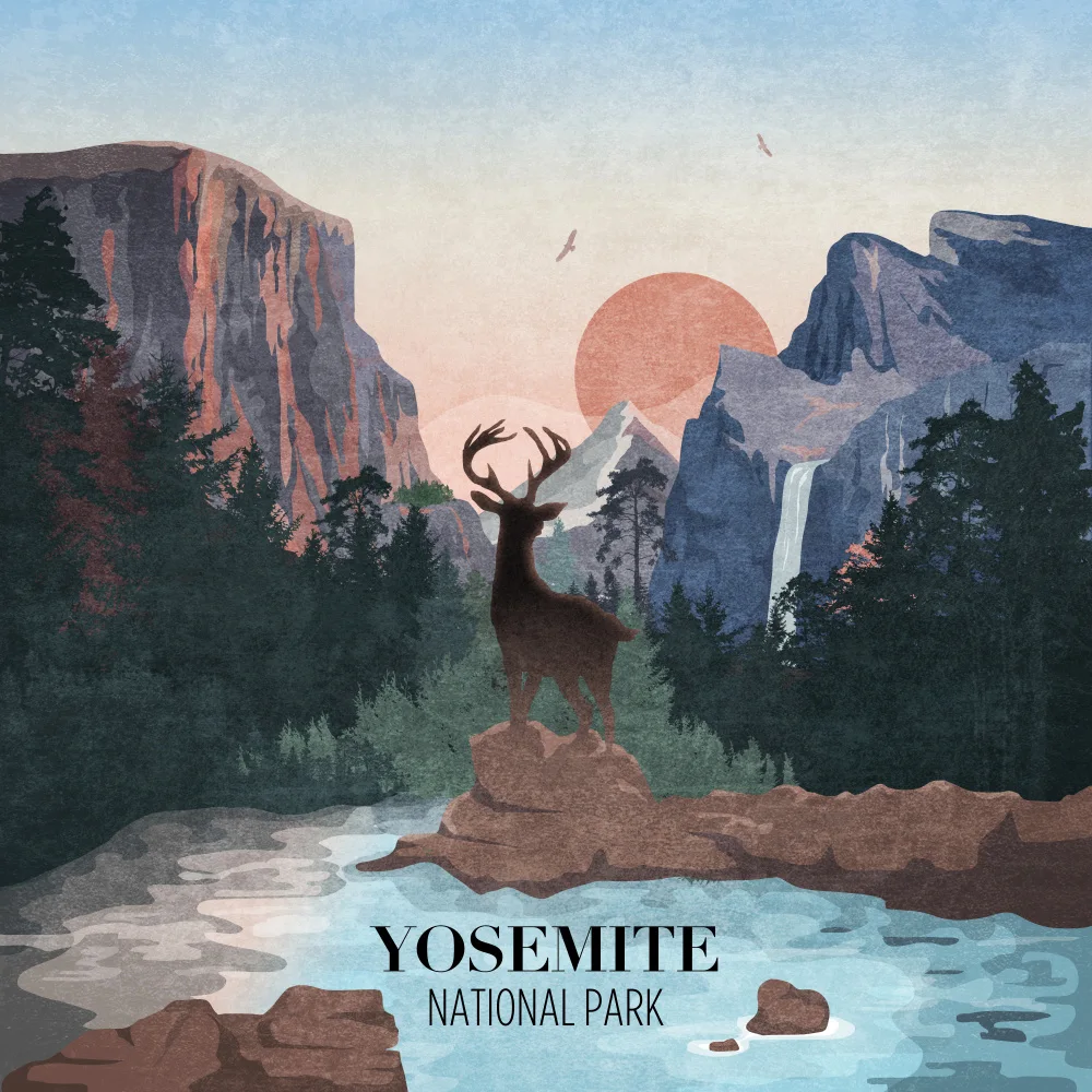 Tunaboylu, Emel: Yosemite