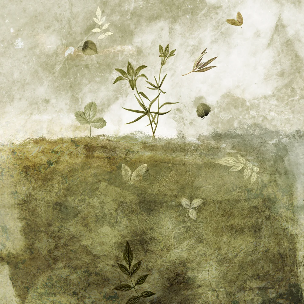Tunaboylu, Emel: Olive