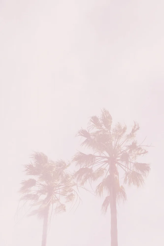 Design, Oju: Pink Palms