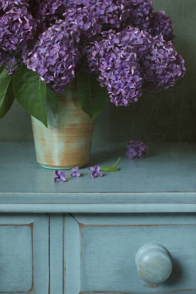 Fennell, Alyson: Purple Lilac Still Life