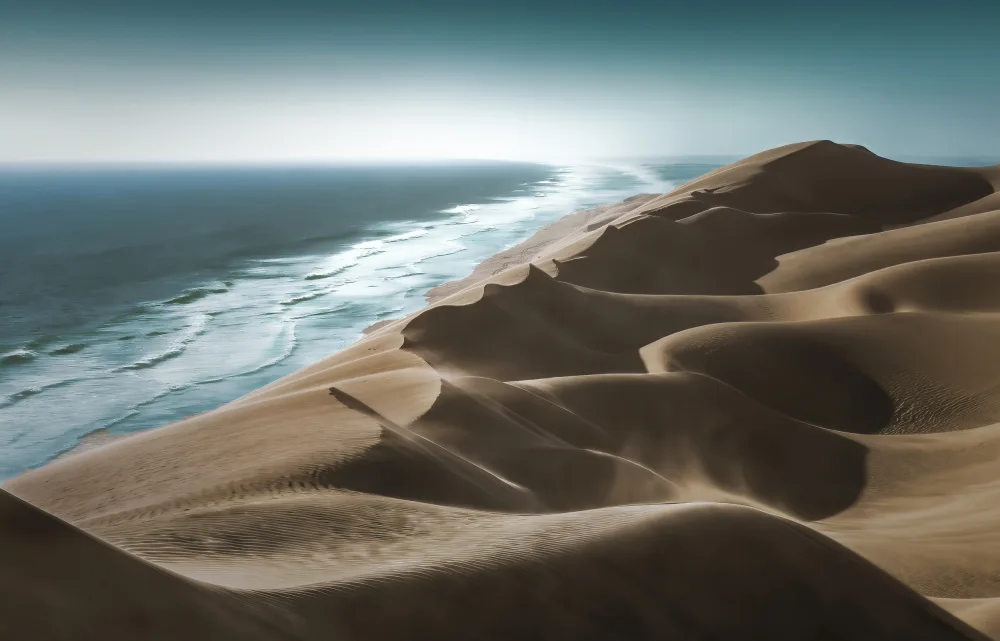 Hongchao, and Gu: DESERT MEETS OCEAN