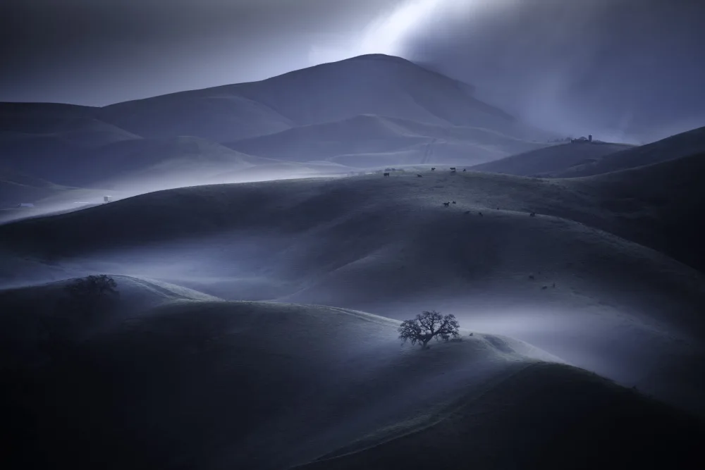 Ou, Jack: Nebbia ondulante
