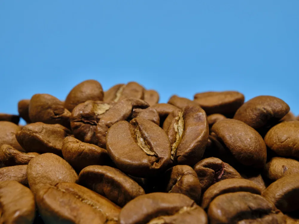 akyurt, engin: chicchi di caffè tostati