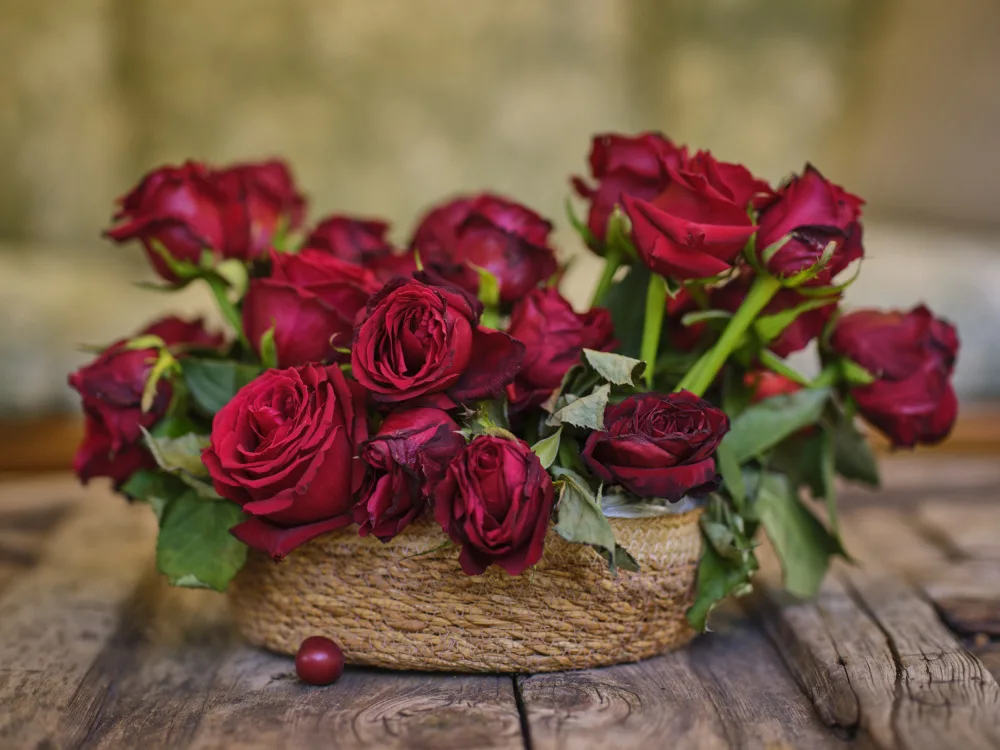akyurt, engin: romantiche rose rosse in un cesto di vimini