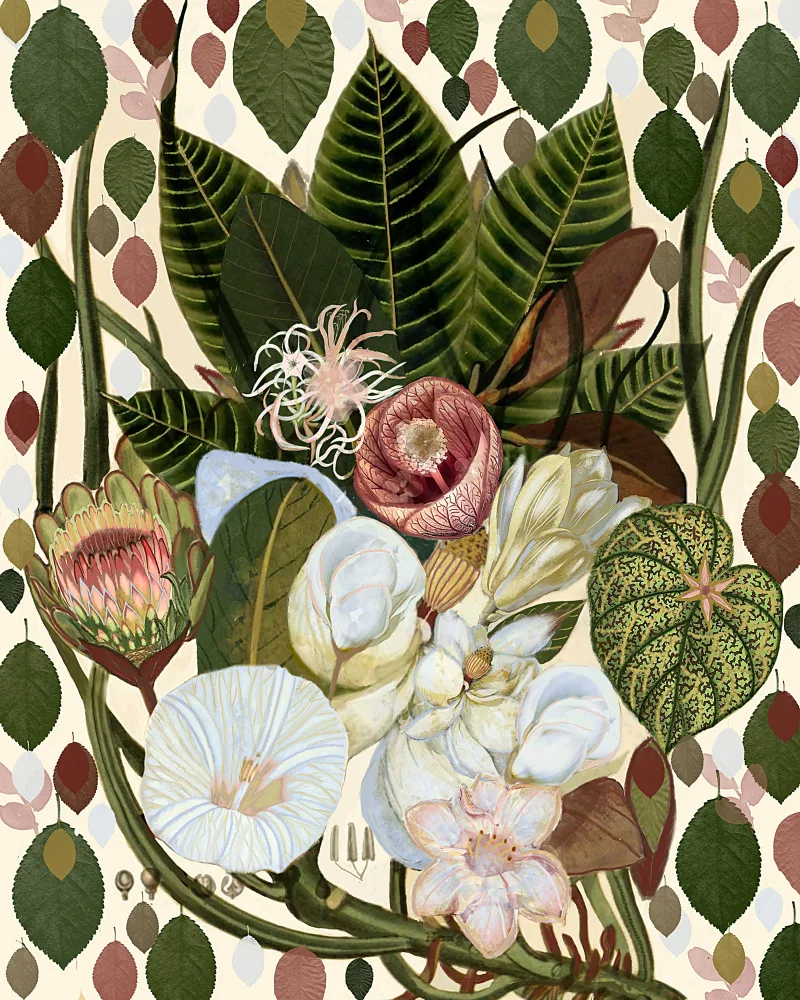 nicolo, giovanna: Earthy Blooms.png