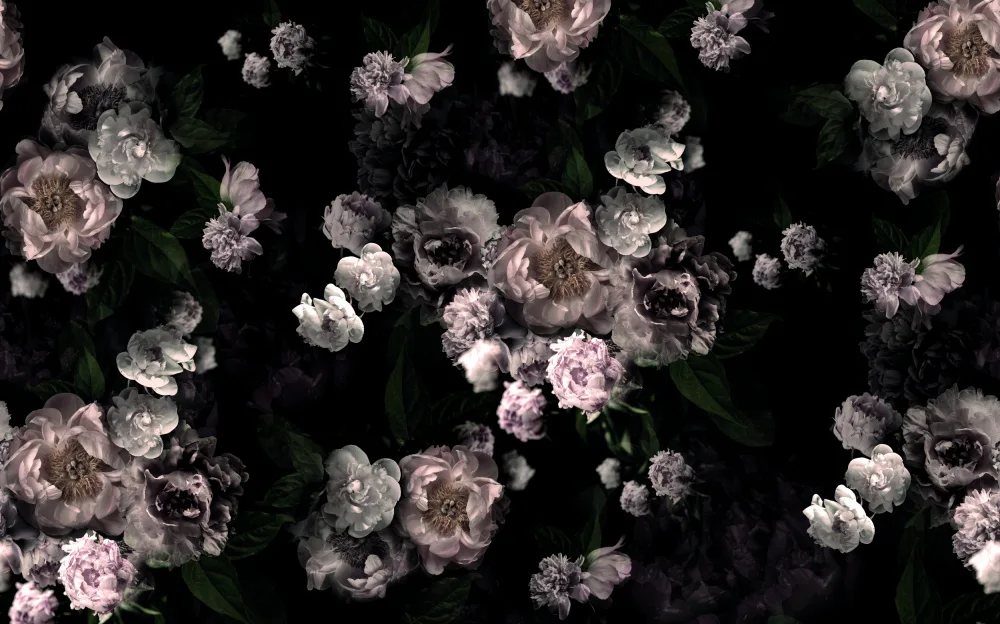 Lane, Hendon: Hl001  Black Roses 4806mm X 3000mm