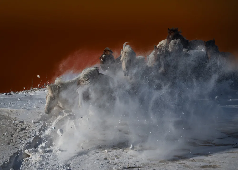 Ren, Chuanxu: Escaping from the sea of fire