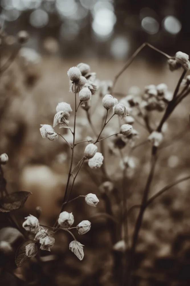 Treechild: Low Light Nature No 7