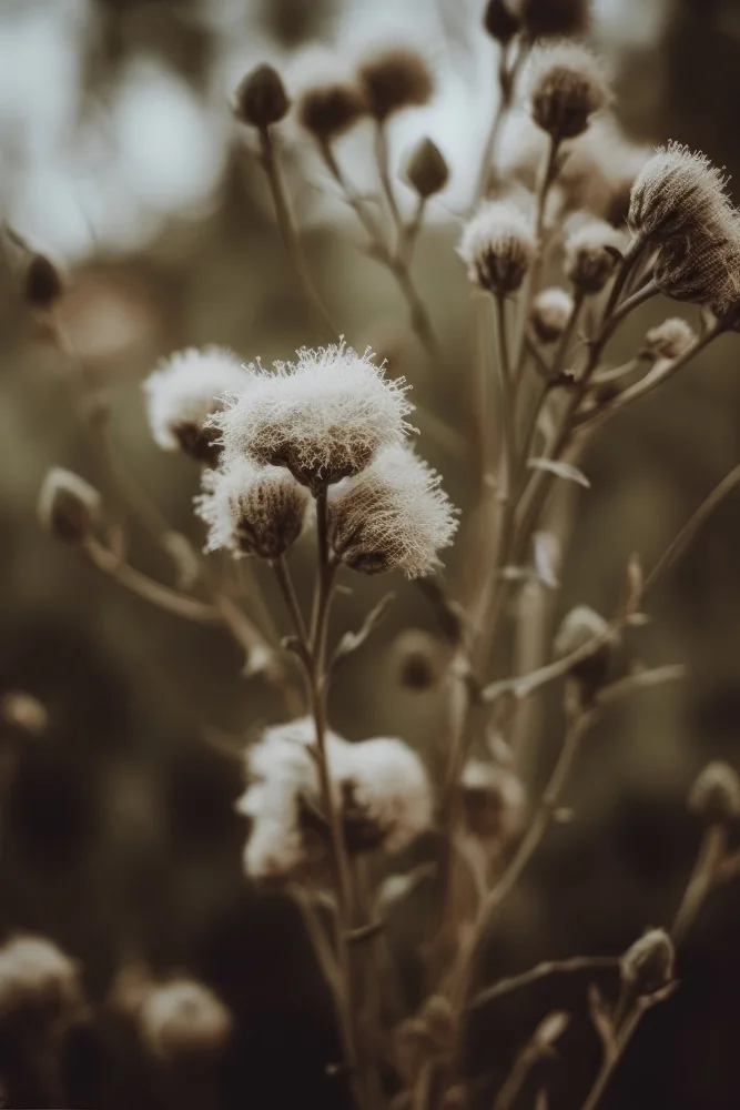 Treechild: Low Light Nature No 5