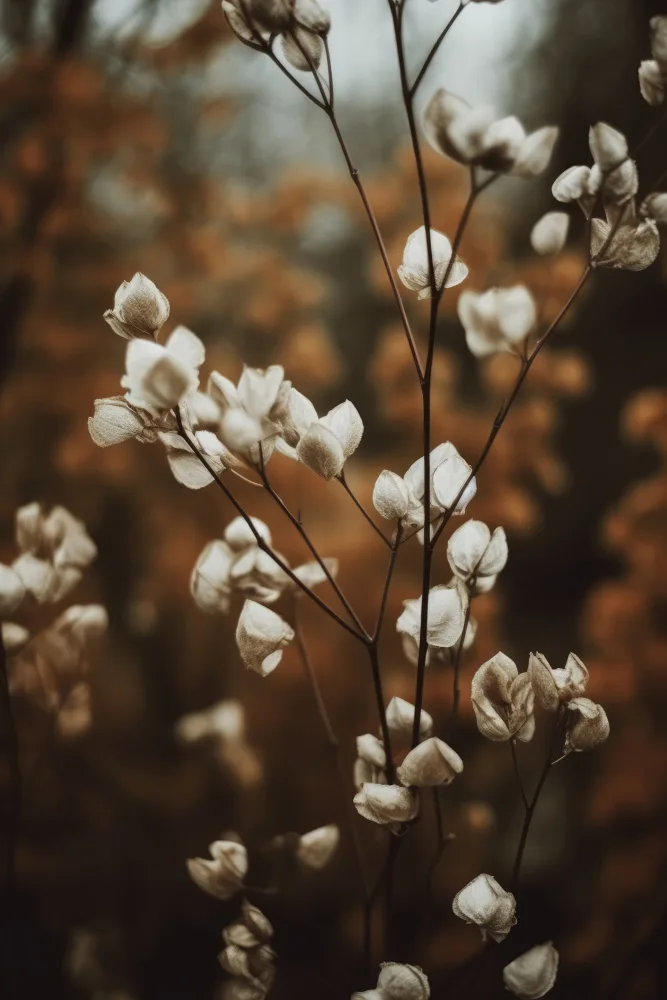 Treechild: Low Light Nature No 3