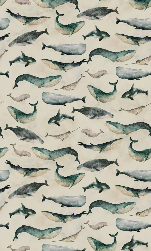 Lane, Hendon: Hl007  Whale   1806mm X 3000mm