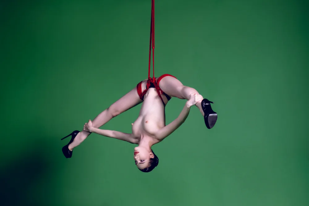 Zanna: Suspension