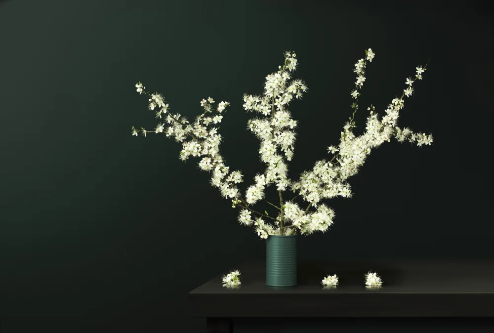 Palacios, Antonio Juan: Still Life 2324