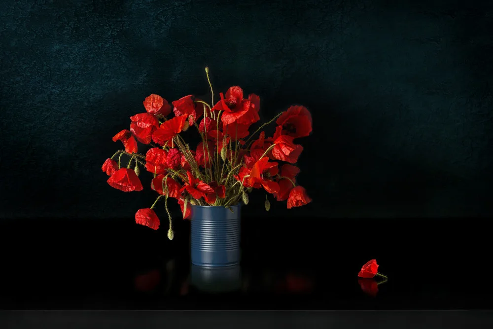 Palacios, Antonio Juan: Still Life 2322