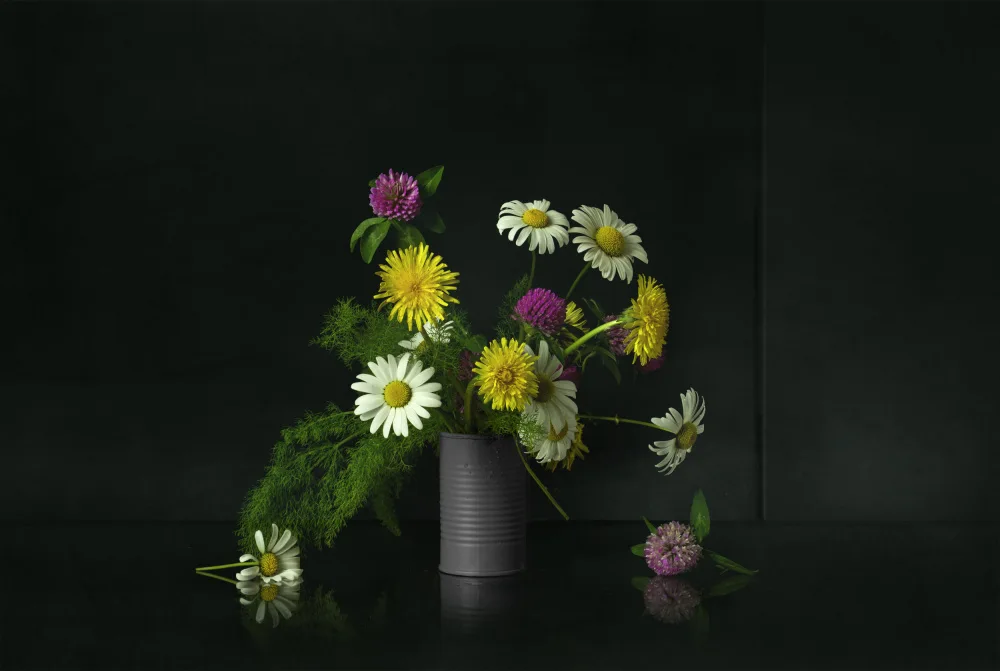 Palacios, Antonio Juan: Still Life 2317