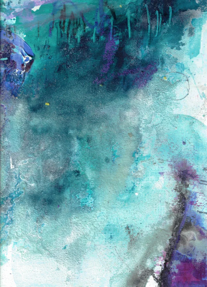 Chaney, Deb: Book Cover ii of ii
