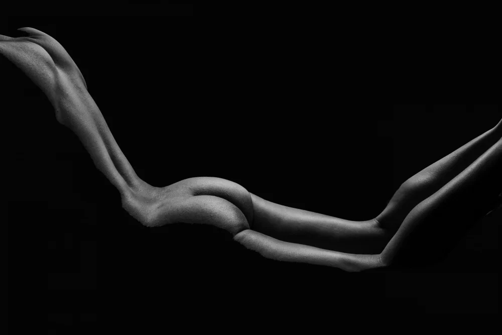 BHATTACHARYYA, PARTHA: CURVE 2