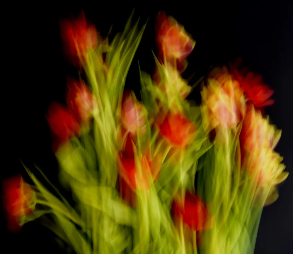 Paksoylu, Bilge: Impressionist Flowers
