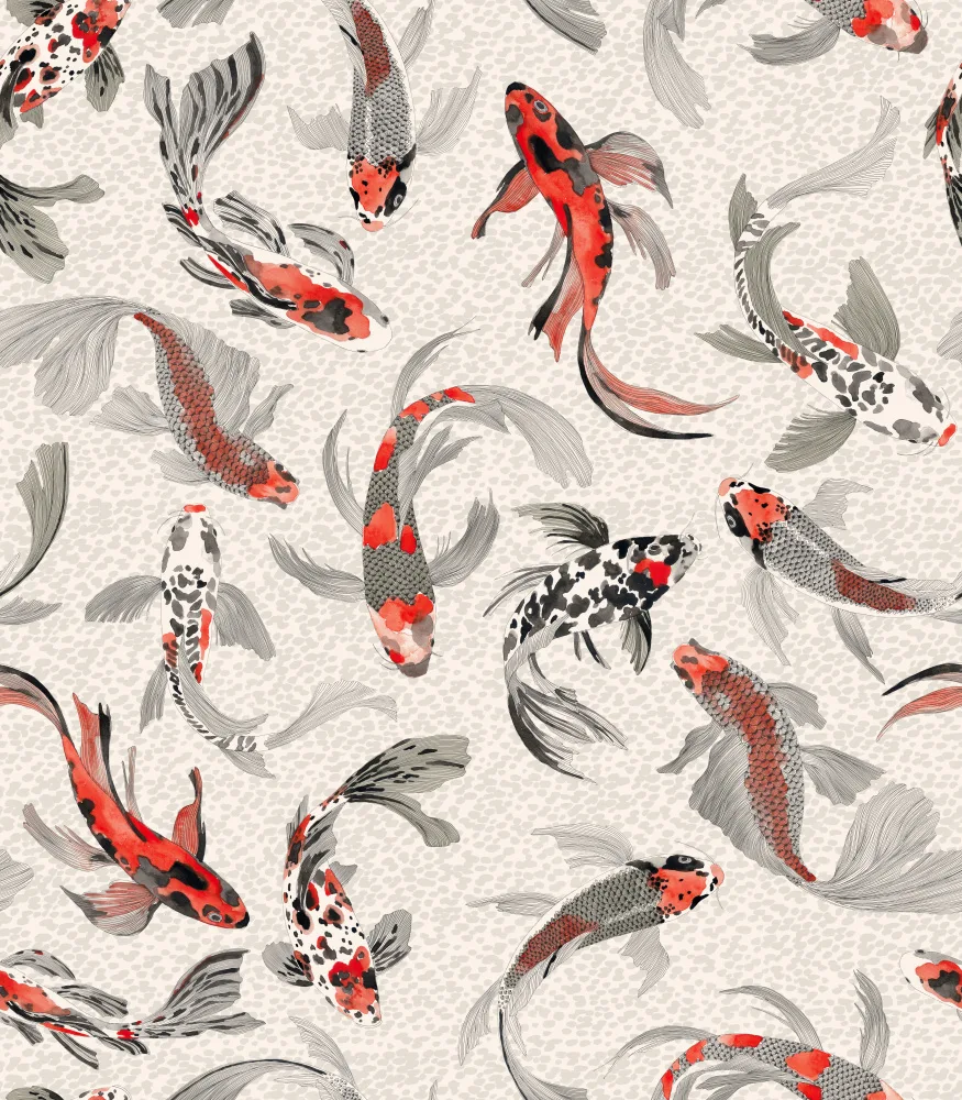 Lane, Hendon: Hla020  Koi Fish Orange Grey