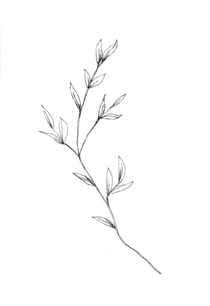 Muller, Lor: Botanical 4