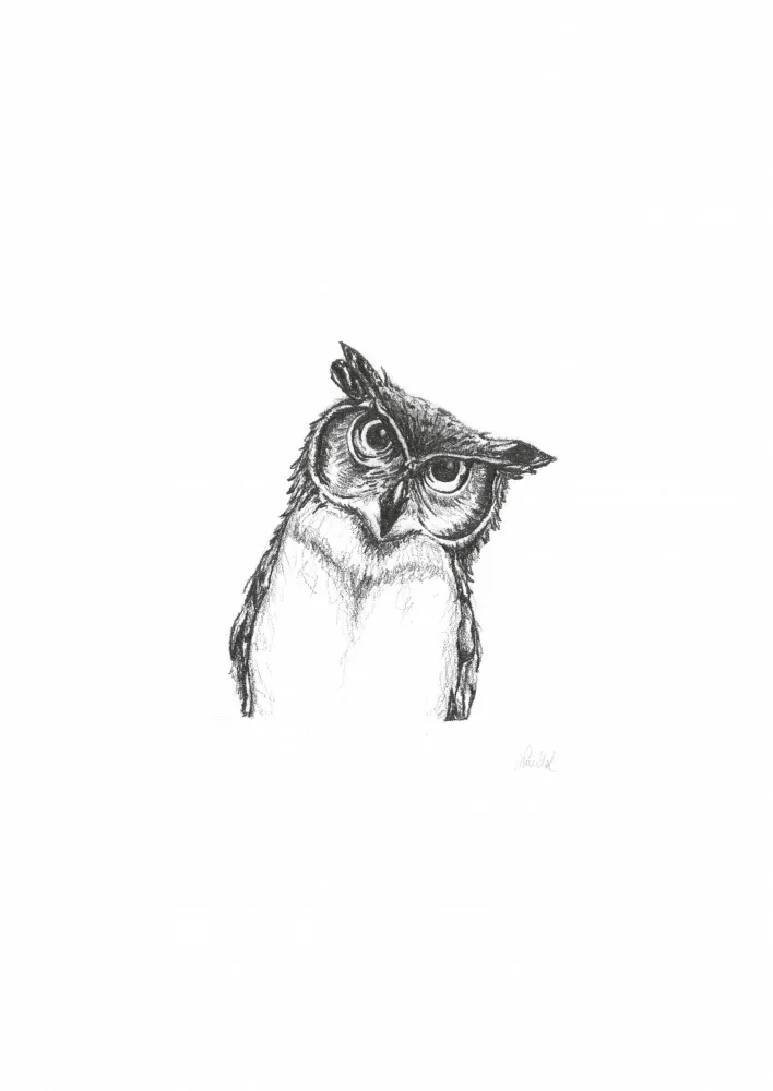 Muller, Lor: Owlet