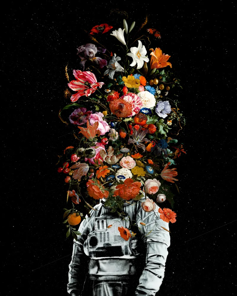 Minoza, Francis: Full Bloom