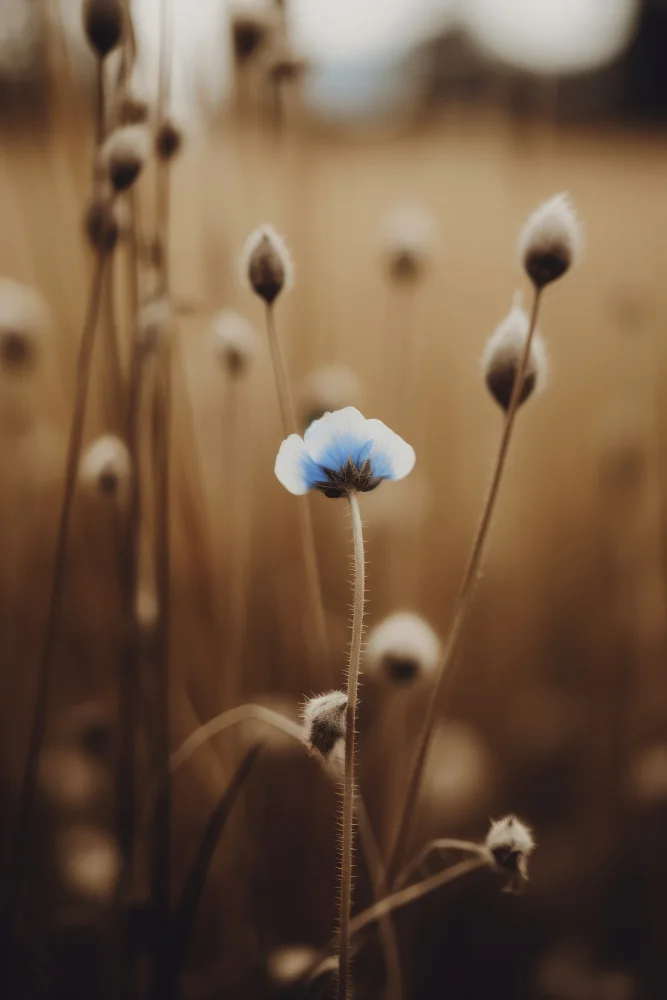 Treechild: Blue Corn Flowers No 4