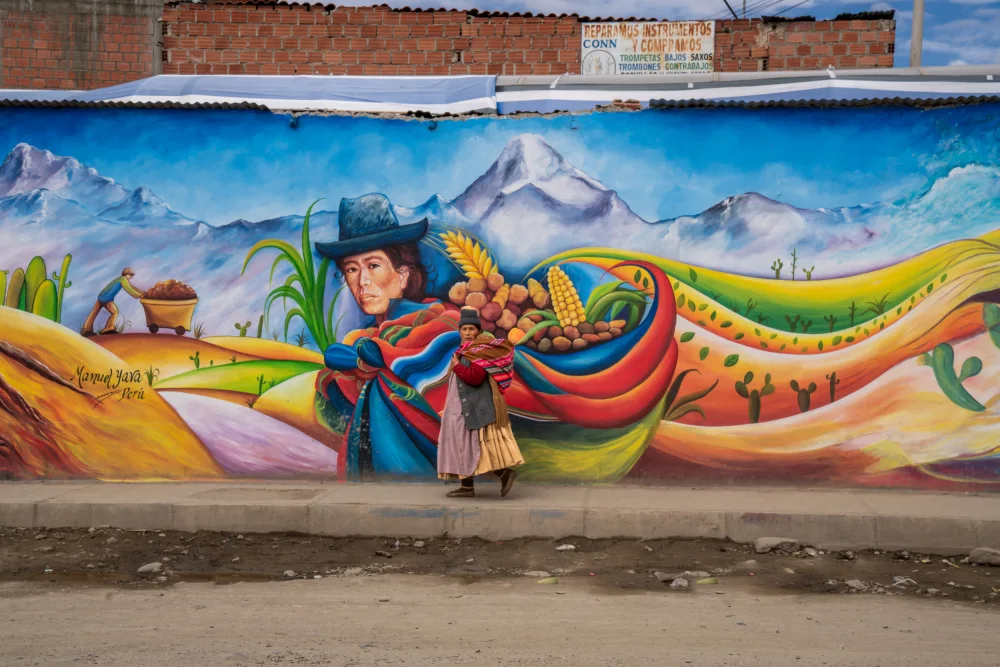 Spector, Corinne: Street in Bolivia