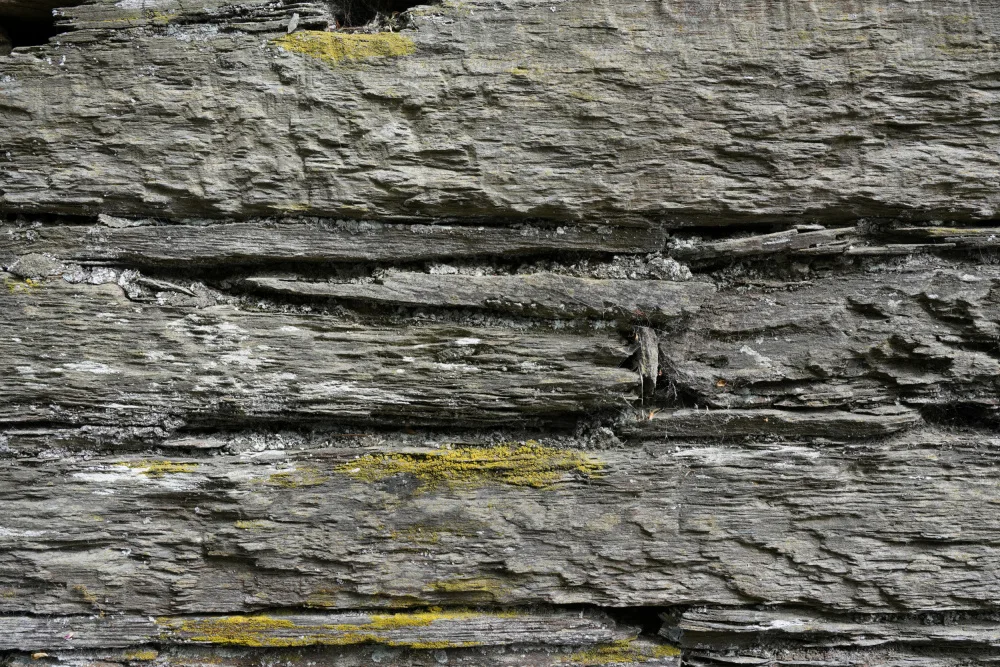 Paksoylu, Bilge: Surface Tex W11