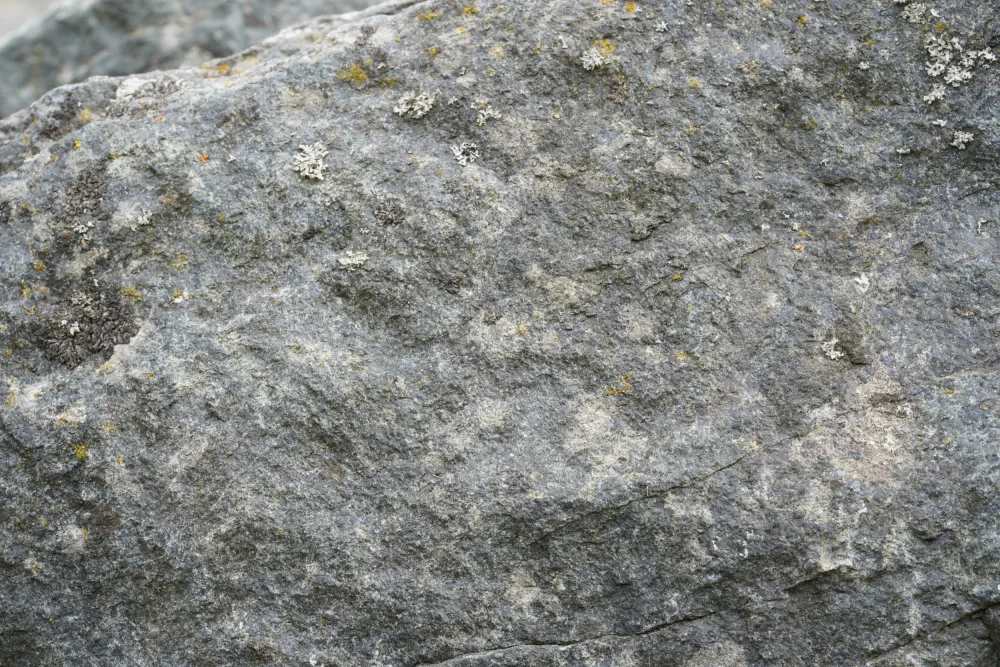 Paksoylu, Bilge: Tex Surface S6