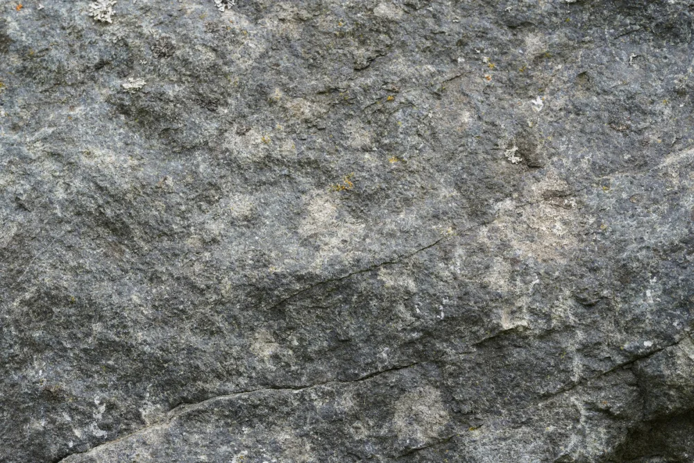 Paksoylu, Bilge: Surface Tex S7