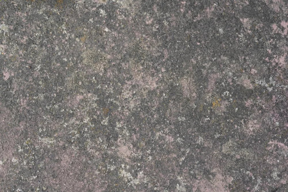 Paksoylu, Bilge: Tex Surface S14