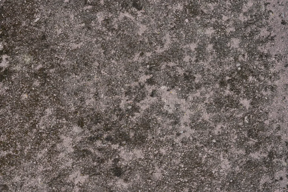 Paksoylu, Bilge: Tex Surface S11