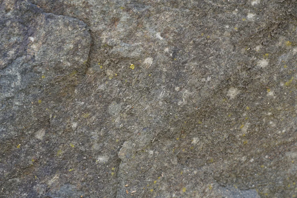Paksoylu, Bilge: Surface Tex S42
