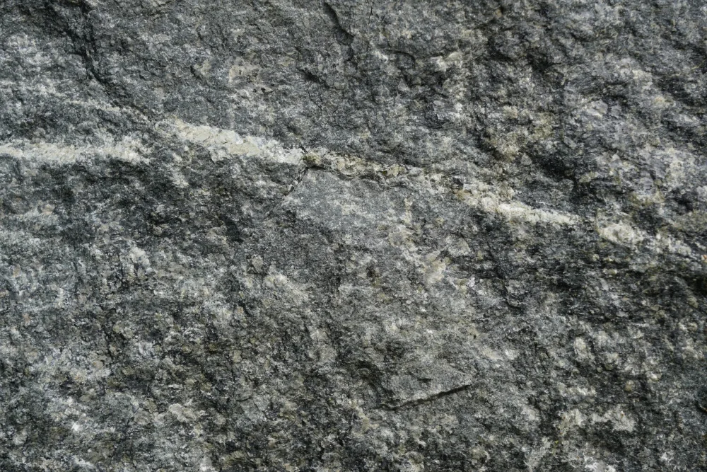 Paksoylu, Bilge: Surface Tex S48