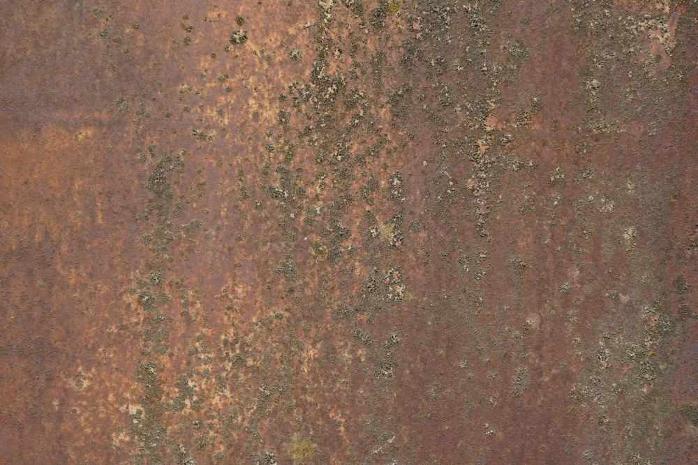 Paksoylu, Bilge: Rost 30