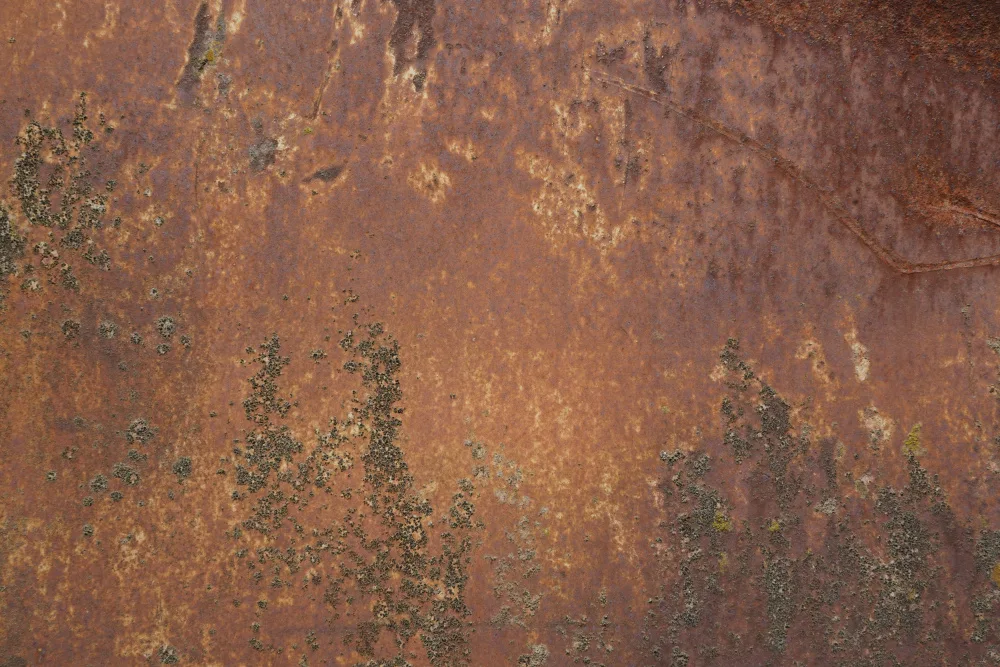 Paksoylu, Bilge: Rust 32