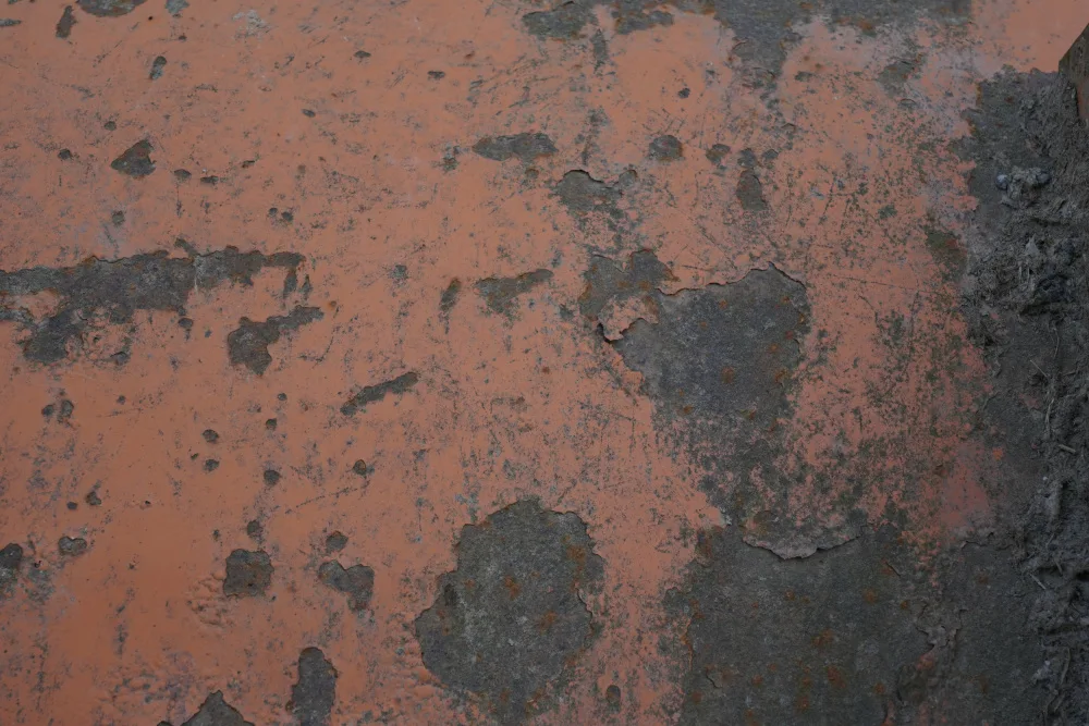 Paksoylu, Bilge: Rost 38