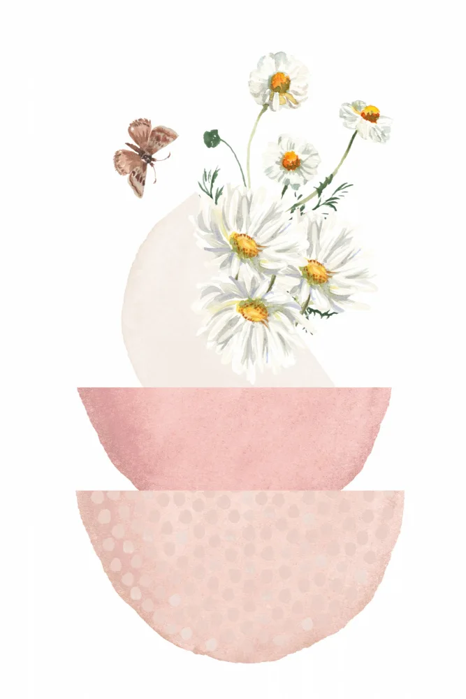 Moss, Ann Sally: Daisy Pinks 2