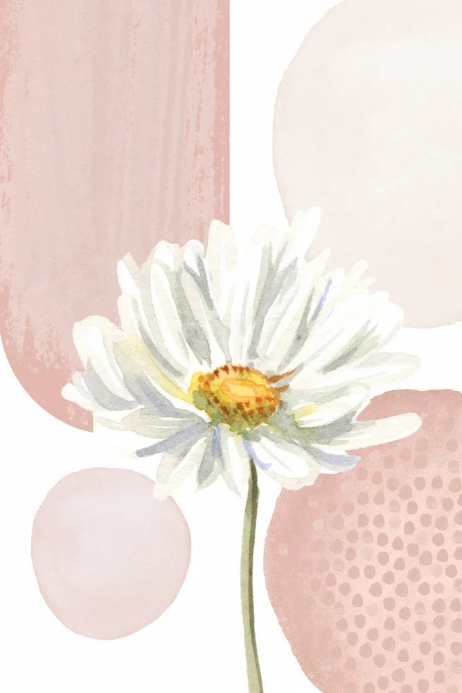 Moss, Ann Sally: Daisy Pinks 1